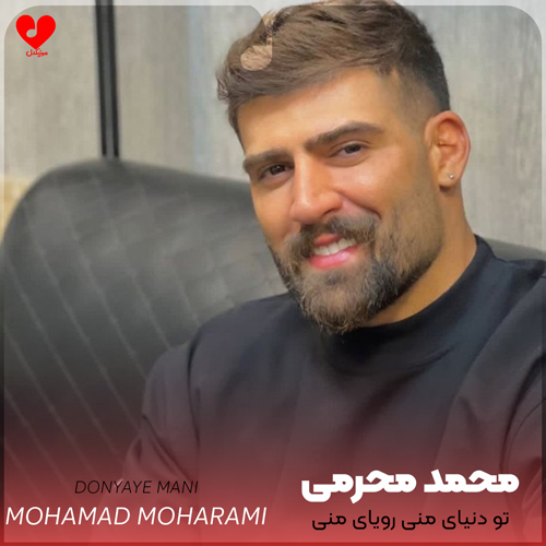 دانلود آهنگ تو دنیای منی رویای منی بهترین رفیق و همسفرمی از محمد محرمی